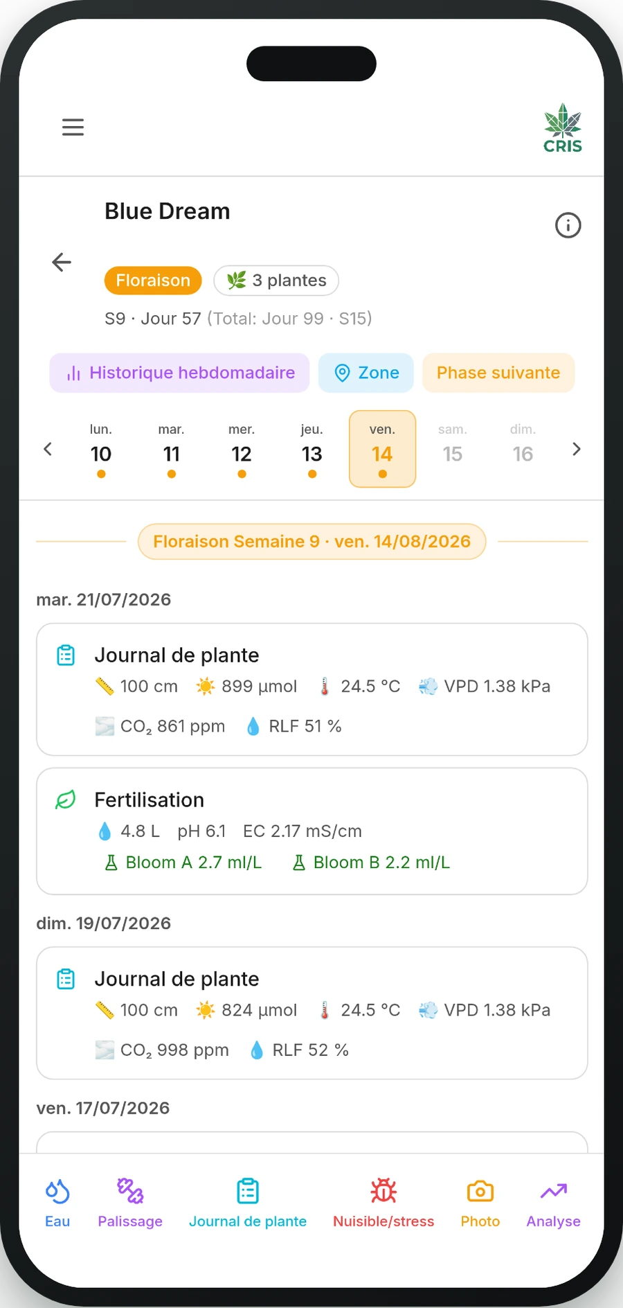 L'appli CRIS affichant le journal Culture quotidienne sur un smartphone